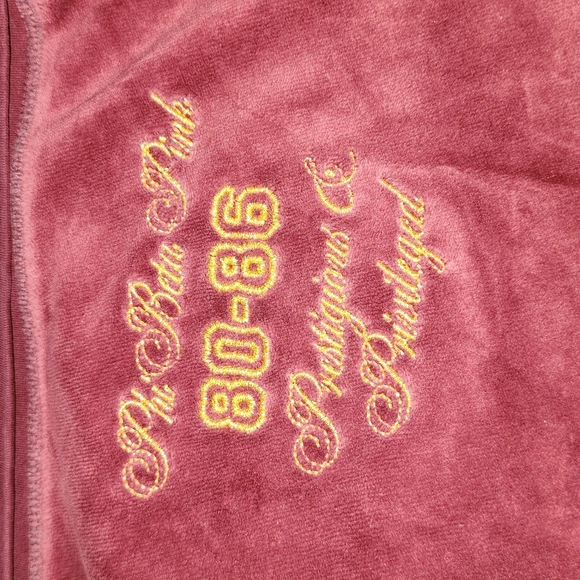 VICTORIAS SECRET'S PINK MEDIUM PHI BETA PINK PRESTIGIOUS & PRIVILEGED SWEATPANTS - Picture 7 of 17